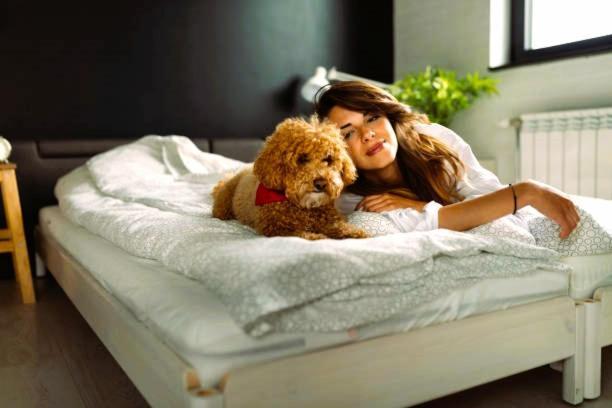 Prairie Comfort Grand Forks Dış mekan fotoğraf